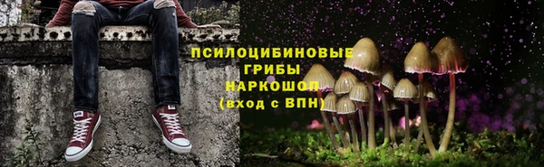 PSILOCYBIN Володарск